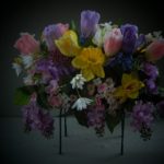 spring saddle tulips