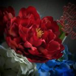 close-up view 007